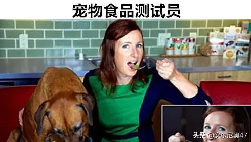 宠物经济爆发的真相，评估指标揭示了我们忽视的关键