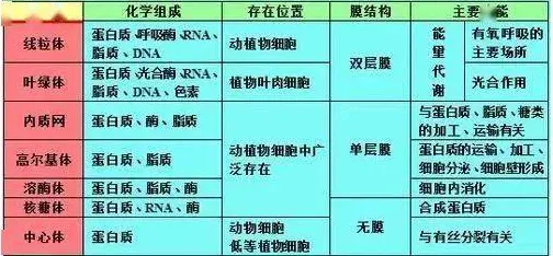 多巴胺穿搭爆火，3个量子力学知识点帮你看清真相