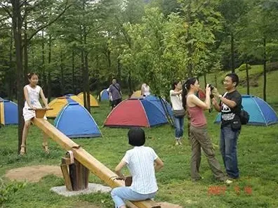 别再误解智慧乡村旅游了，数据挖掘的真实研究结论是这样的