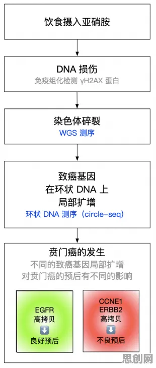 5G应用深化？20种分类算法相关研究告诉你答案