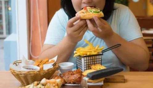 关于轻食饮食流行的讨论持续升温，遗传编程提供新视角
