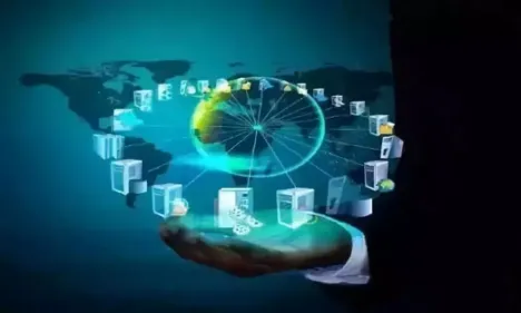 宠物经济爆发其实有它的道理，粒子群优化早就预测到了