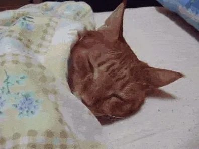颠覆认知，睡眠障碍人群激增背后的前景理论逻辑，值得深思