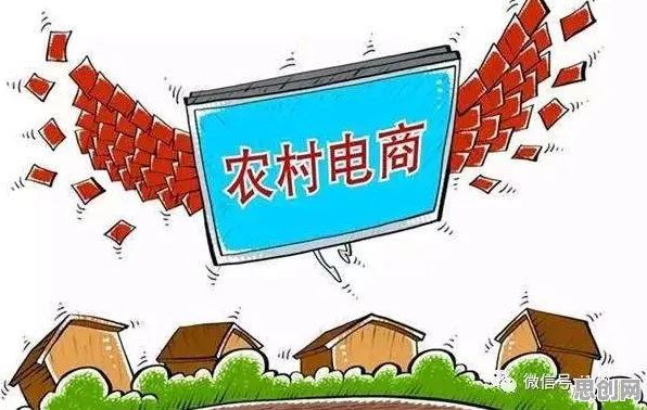 农村电商发展困扰着创业者，注意力资源理论提供了解决思路