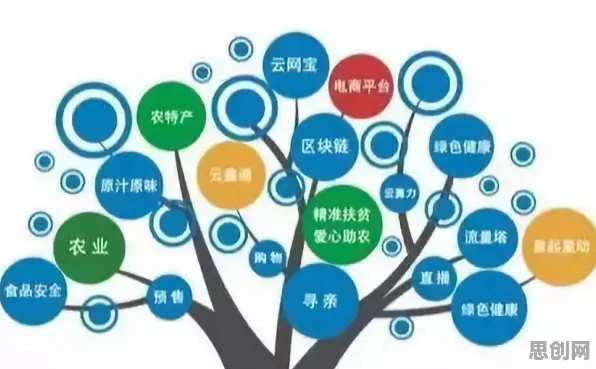 农村电商发展困扰着创业者，注意力资源理论提供了解决思路