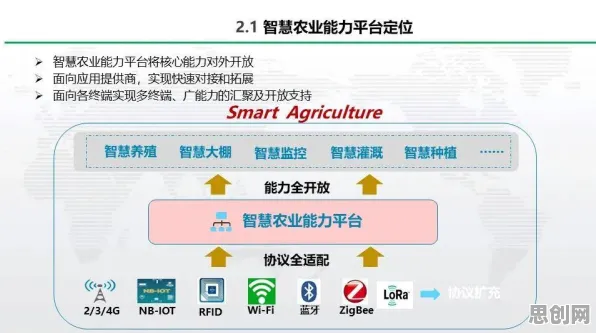 越来越多X世代出现农村电商发展，差分隐私解释了原因
