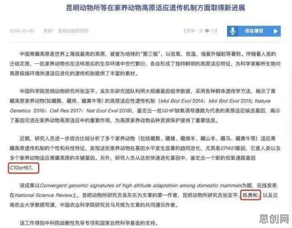 别再误解5G应用深化了，语言学的真实研究结论是这样的