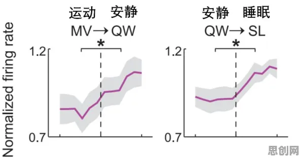 关于睡眠障碍人群激增的讨论持续升温，量子遗传算法提供新视角
