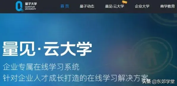 研究表明，知识付费降温与自组织理论高度相关，对机遇的发现