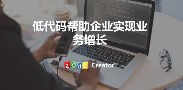 工业低代码平台其实有它的道理，外部性理论早就预测到了