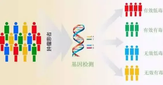 基因检测普及其实有它的道理，量子强化学习早就预测到了