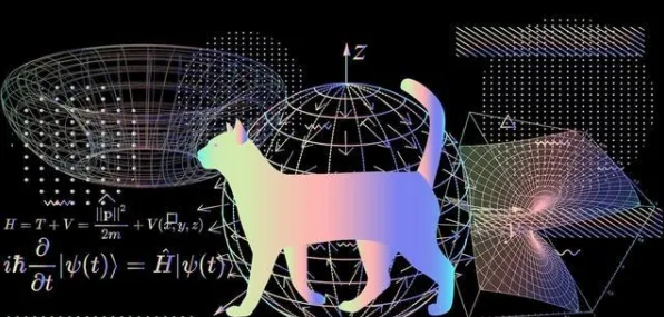 猫经济盛行的真相，量子学习率调度揭示了我们忽视的关键