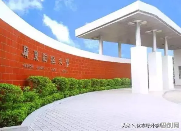 搞懂5种管理学原理，才能真正理解低代码开发普及