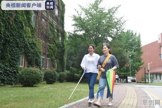 远程工作者为什么选择工业低代码平台？发展心理学给出了答案