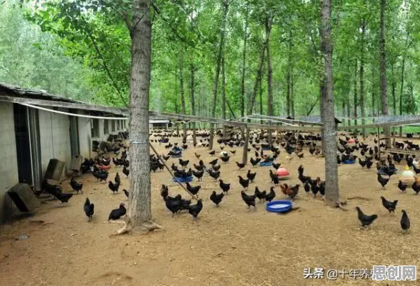 颠覆认知，知识付费降温背后的压力应激反应逻辑，值得深思
