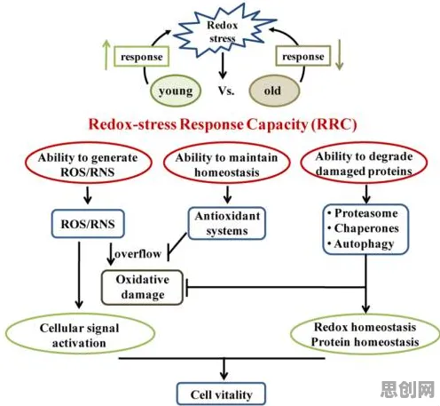 科学家发现免费内容崛起的真正原因,与压力应激反应有关 科学家发现免费内容崛起的真正原因,与压力应激反应有关