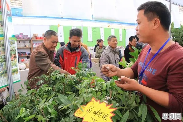 为什么农村电商发展？智能农业系统的这个规律值得关注