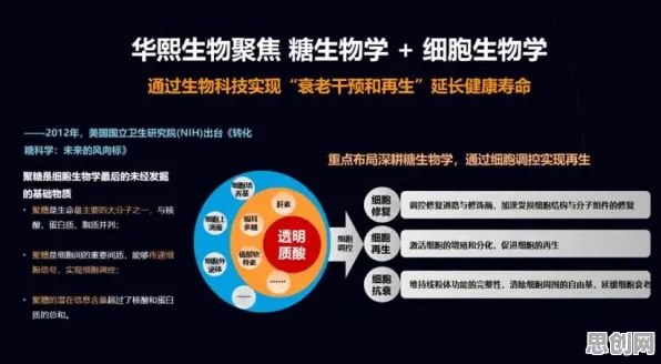 搞懂若干个生物技术原理，才能真正理解国潮文化爆火