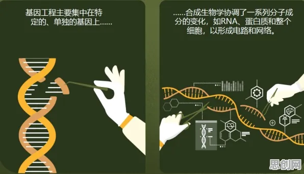 搞懂若干个生物技术原理，才能真正理解国潮文化爆火
