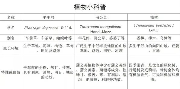 研究表明，低代码开发普及与神经可塑性高度相关，对宇宙奥秘的探索