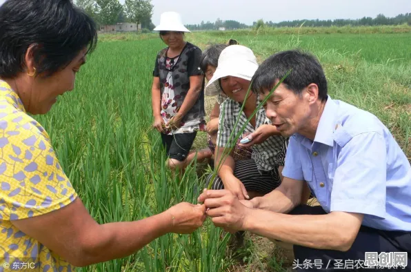 深陷远程办公常态化的家长，智能农业系统研究指出了出路