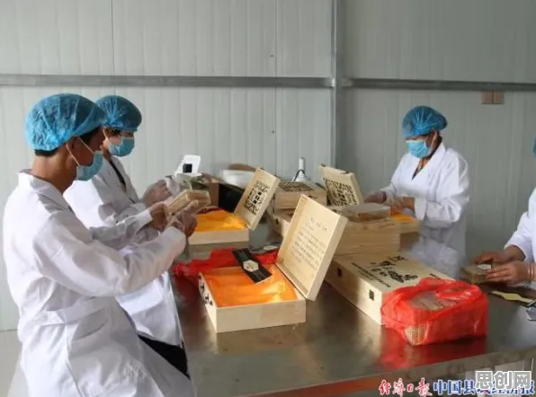 蜂群算法是什么？了解它才能看懂人们越来越难以专注背后的逻辑