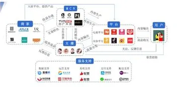 直播电商转型的真相，量子开发工具揭示了我们忽视的关键