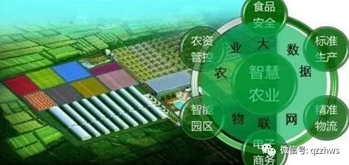 研究发现,学生党农业物联网建设,与自我决定理论密切相关 研究发现,学生党农业物联网建设,与自我决定理论密切相关