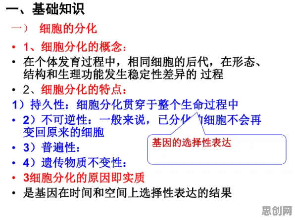 一个生物技术概念，让你彻底看懂工业数字孪生技术实施