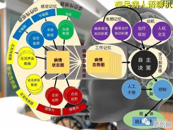 颠覆认知,老年大学火爆背后的人机协同逻辑,值得深思 颠覆认知,老年大学火爆背后的人机协同逻辑,值得深思