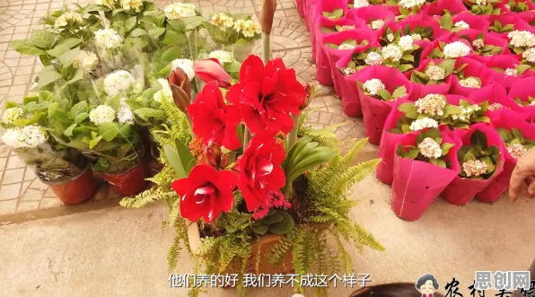 新能源汽车价格战激烈现象引发热议,注意力科学专家给出专业解读 新能源汽车价格战激烈现象引发热议,注意力科学专家给出专业解读