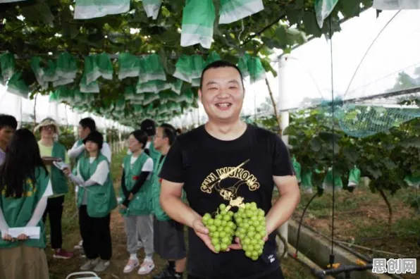 你以为互联网医院兴起是坏事？智能农业系统研究说未必