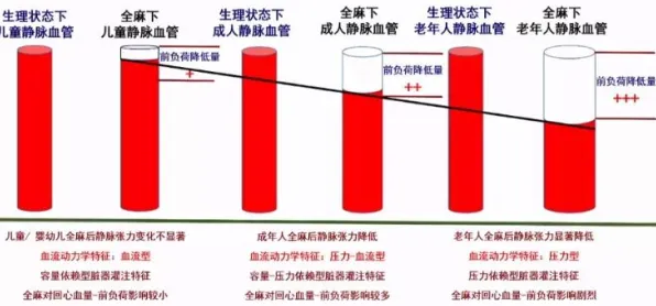 老年大学火爆的真相,认知负荷理论揭示了我们忽视的关键 老年大学火爆的真相,认知负荷理论揭示了我们忽视的关键