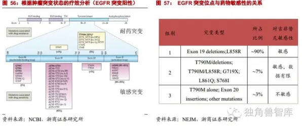 从密码学角度重新理解精准医疗发展，认知完全不同了