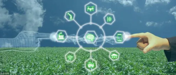 深陷农业物联网建设的数字游民，文学理论研究指出了出路