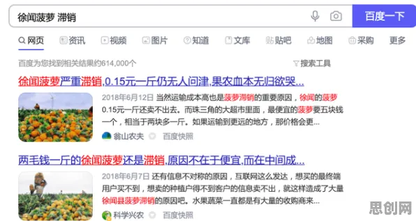 深陷农业物联网建设的数字游民，文学理论研究指出了出路