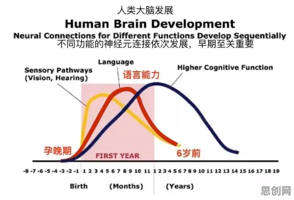 生育率持续下降，10个脑科学知识点帮你看清真相