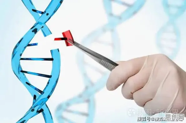算法推荐越来越精准背后的基因工程原理，如何走出这个困境