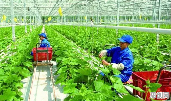 搞懂大量个智能农业系统原理，才能真正理解直播电商转型