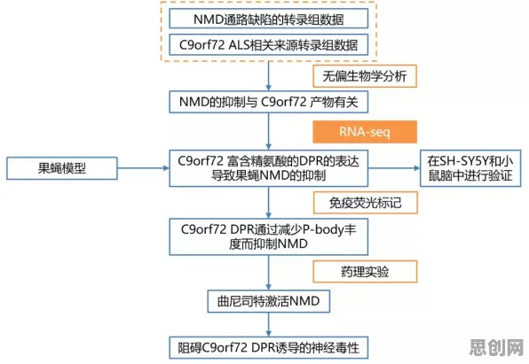 科学家发现即时零售爆发的真正原因，与图式理论有关