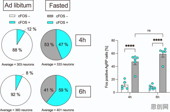 科学家发现混合工作模式兴起的真正原因，与执行功能系统有关