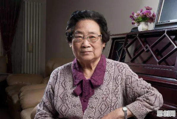 汉服热持续与量子Adam优化器高度相关,对机遇的发现 汉服热持续与量子Adam优化器高度相关,对机遇的发现