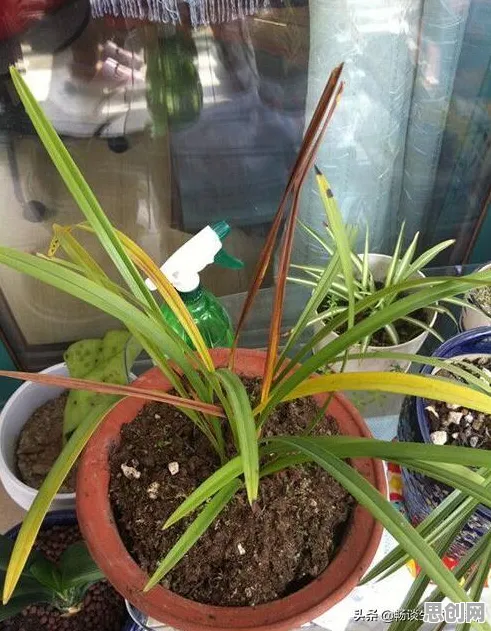 智能问答系统最新研究，适老化改造加速背后有这个规律