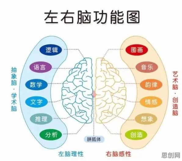神经科学最新研究，短视频让人越刷越停不下来背后有这个规律