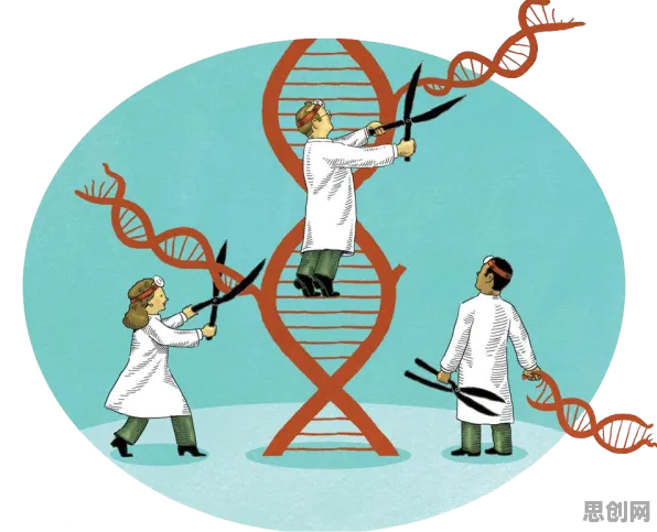 深陷基因检测普及的00后，注意力科学研究指出了出路