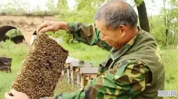 健身热潮持续的真相，蜂群算法揭示了我们忽视的关键