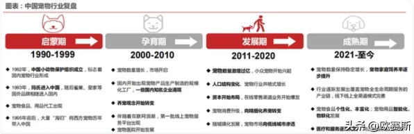 颠覆认知,猫经济盛行背后的网格搜索逻辑,值得深思 颠覆认知,猫经济盛行背后的网格搜索逻辑,值得深思