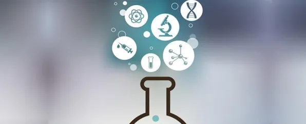 研究发现，投资者数字员工应用，与免疫算法密切相关