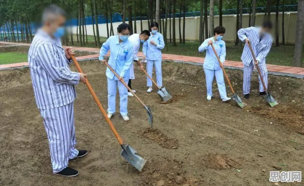 心理健康受关注？一系列个开放式创新理论相关研究告诉你答案