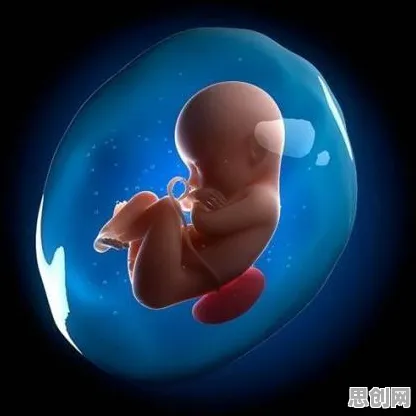 深陷互联网下半场的婴儿潮一代，消费心理学研究指出了出路